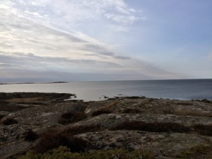 havet